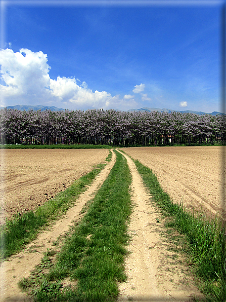 foto Paesaggi tra i Colli